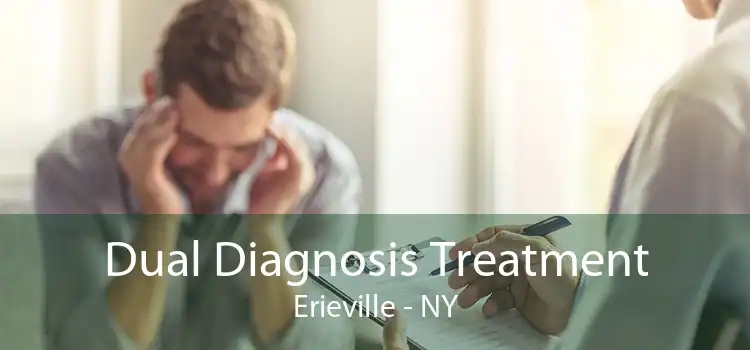 Dual Diagnosis Treatment Erieville - NY