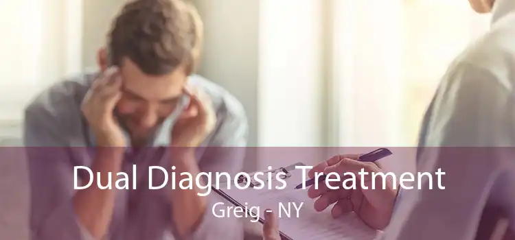 Dual Diagnosis Treatment Greig - NY