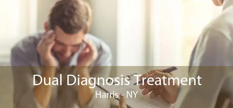 Dual Diagnosis Treatment Harris - NY