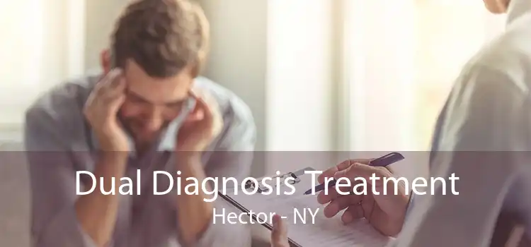 Dual Diagnosis Treatment Hector - NY