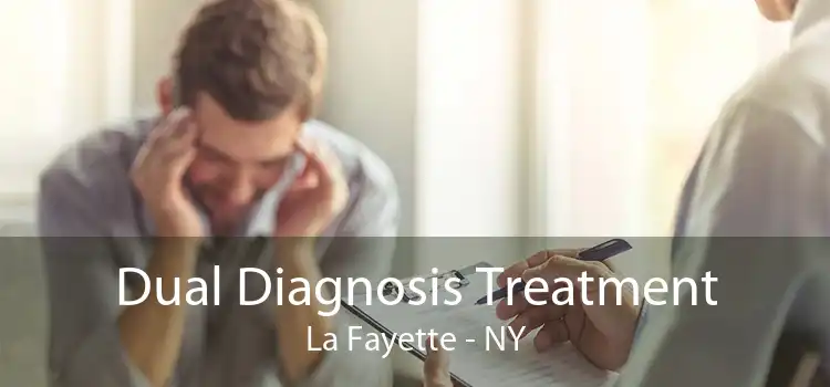 Dual Diagnosis Treatment La Fayette - NY