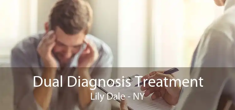 Dual Diagnosis Treatment Lily Dale - NY