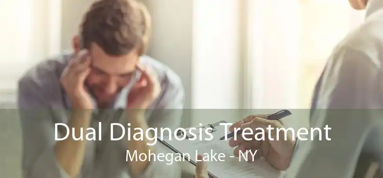 Dual Diagnosis Treatment Mohegan Lake - NY