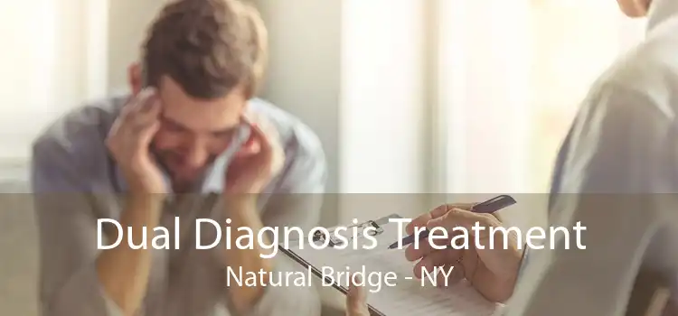 Dual Diagnosis Treatment Natural Bridge - NY