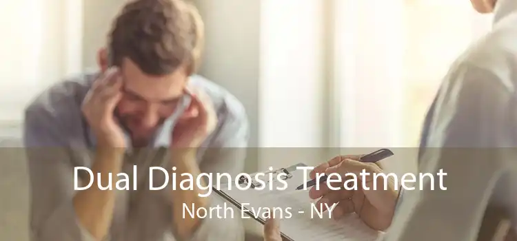 Dual Diagnosis Treatment North Evans - NY