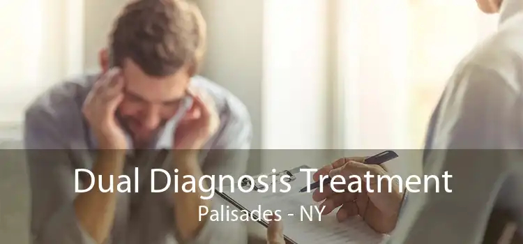 Dual Diagnosis Treatment Palisades - NY