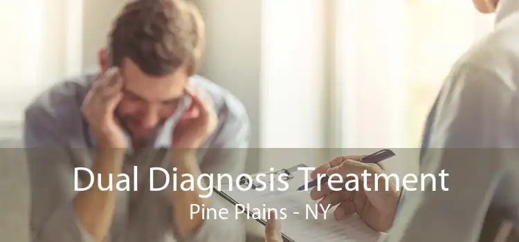 Dual Diagnosis Treatment Pine Plains - NY