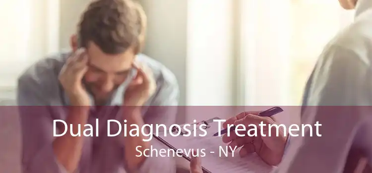 Dual Diagnosis Treatment Schenevus - NY