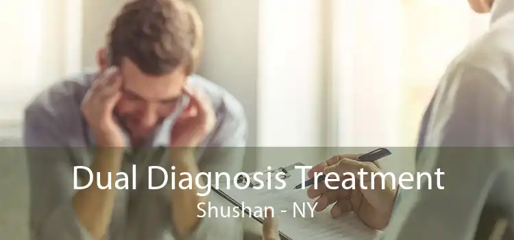 Dual Diagnosis Treatment Shushan - NY