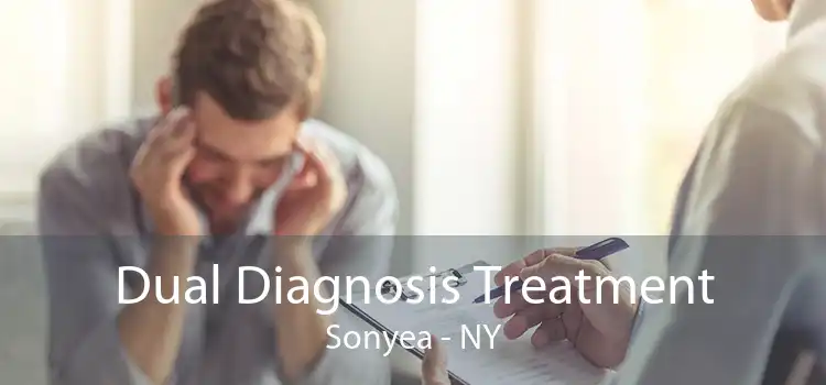 Dual Diagnosis Treatment Sonyea - NY