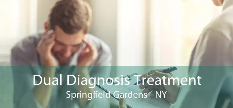 Dual Diagnosis Treatment Springfield Gardens - NY