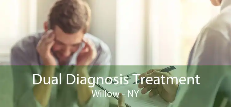 Dual Diagnosis Treatment Willow - NY