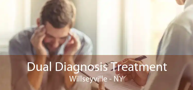 Dual Diagnosis Treatment Willseyville - NY