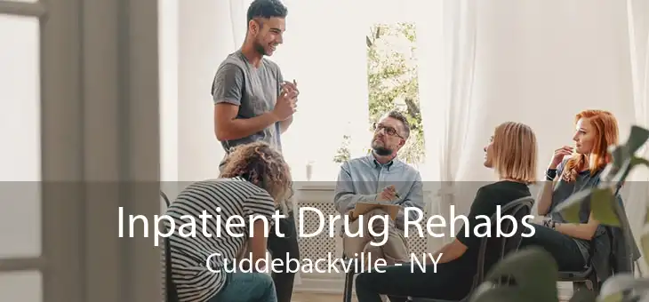 Inpatient Drug Rehabs Cuddebackville - NY