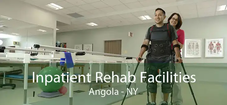 Inpatient Rehab Facilities Angola - NY