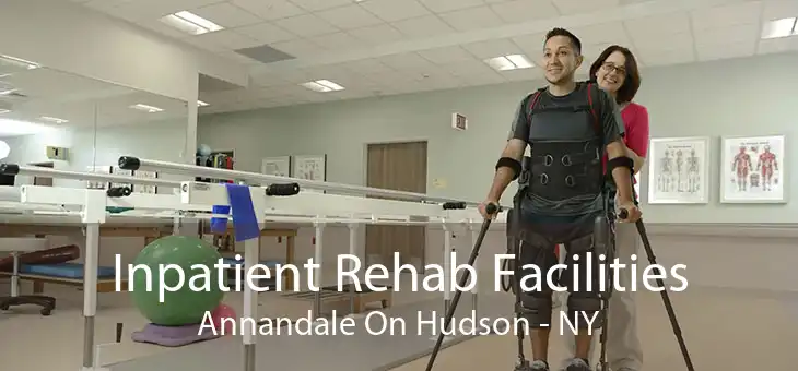 Inpatient Rehab Facilities Annandale On Hudson - NY