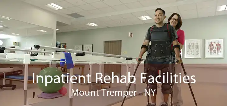 Inpatient Rehab Facilities Mount Tremper - NY