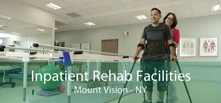 Inpatient Rehab Facilities Mount Vision - NY