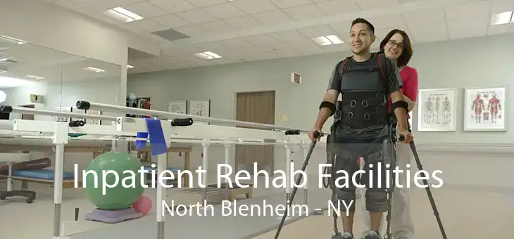 Inpatient Rehab Facilities North Blenheim - NY