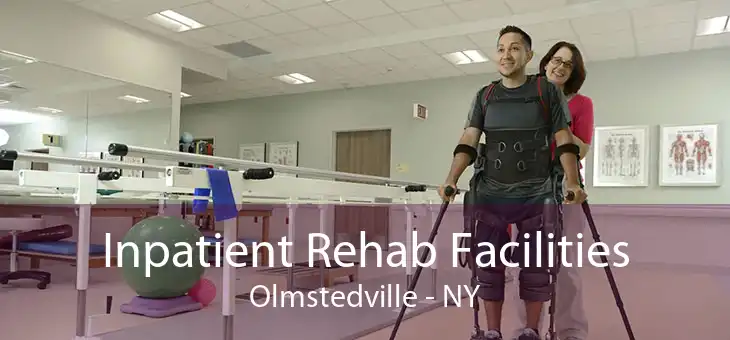 Inpatient Rehab Facilities Olmstedville - NY