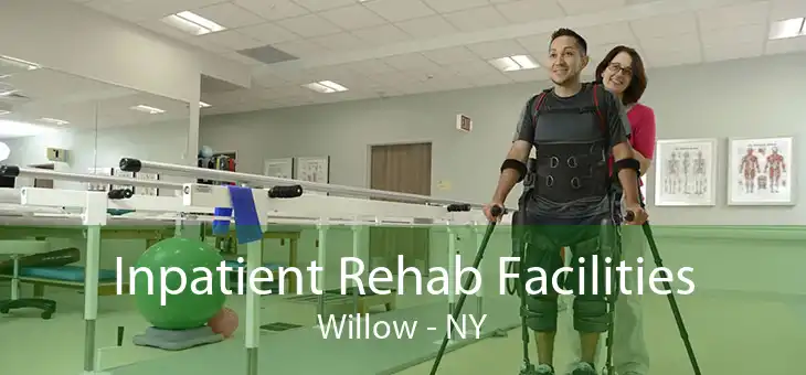 Inpatient Rehab Facilities Willow - NY