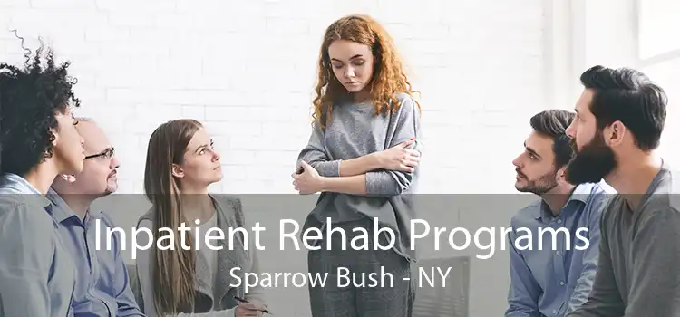 Inpatient Rehab Programs Sparrow Bush - NY
