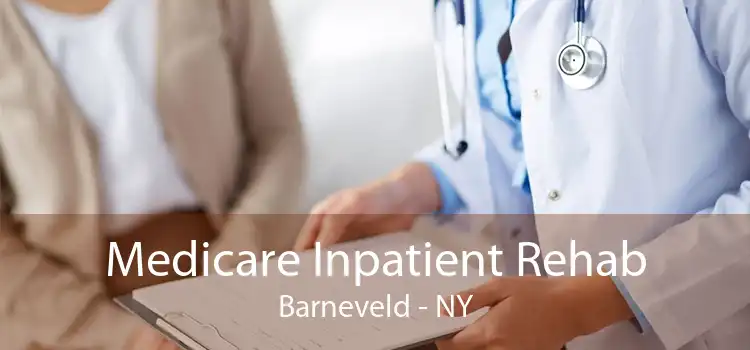 Medicare Inpatient Rehab Barneveld - NY