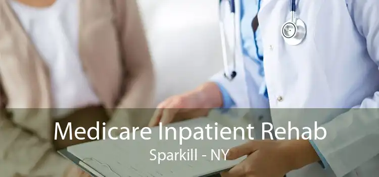 Medicare Inpatient Rehab Sparkill - NY