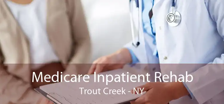 Medicare Inpatient Rehab Trout Creek - NY