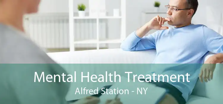 Mental Health Treatment Alfred Station - NY