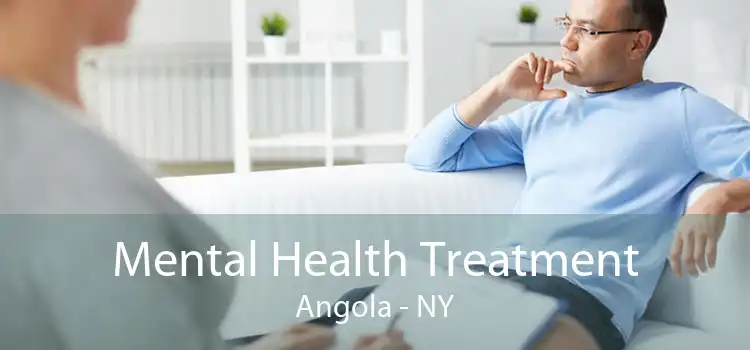 Mental Health Treatment Angola - NY