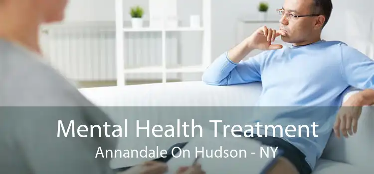 Mental Health Treatment Annandale On Hudson - NY