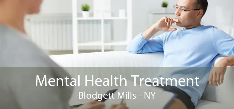 Mental Health Treatment Blodgett Mills - NY