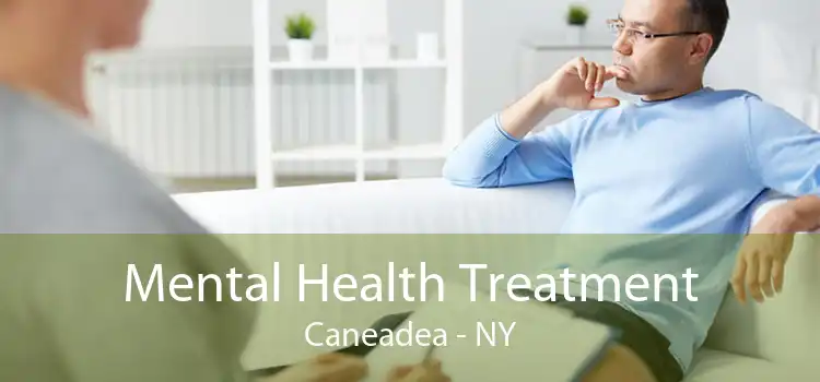 Mental Health Treatment Caneadea - NY