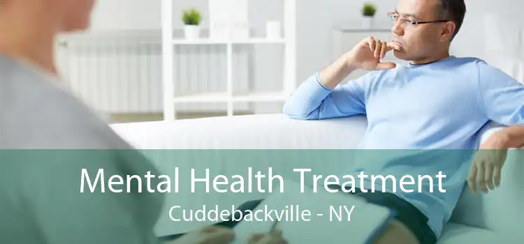 Mental Health Treatment Cuddebackville - NY