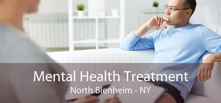 Mental Health Treatment North Blenheim - NY