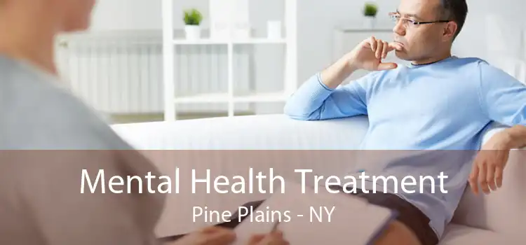 Mental Health Treatment Pine Plains - NY