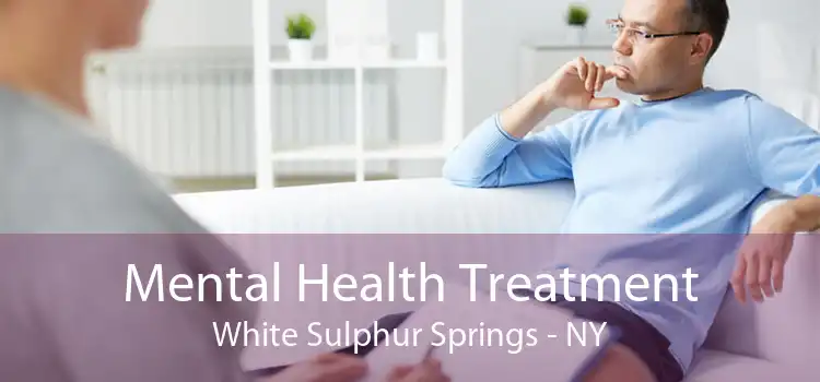 Mental Health Treatment White Sulphur Springs - NY