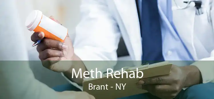 Meth Rehab Brant - NY