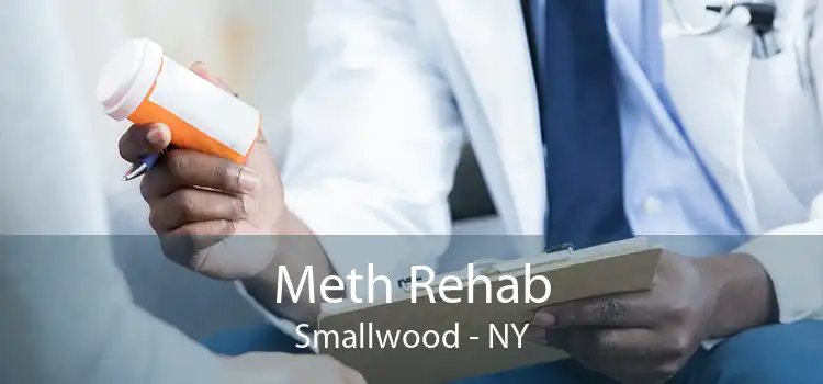 Meth Rehab Smallwood - NY