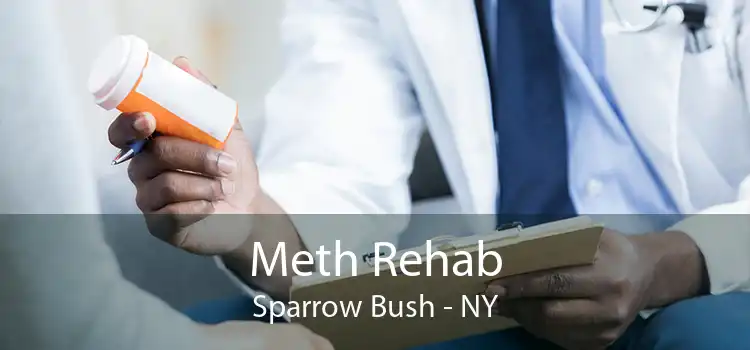 Meth Rehab Sparrow Bush - NY