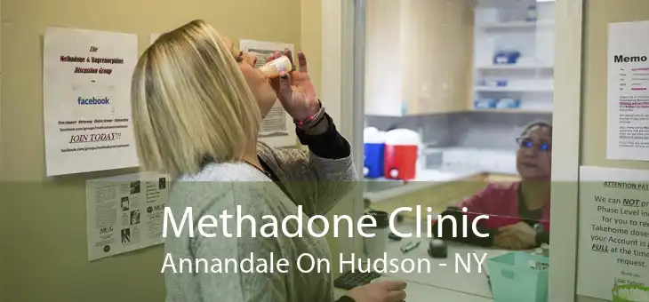 Methadone Clinic Annandale On Hudson - NY