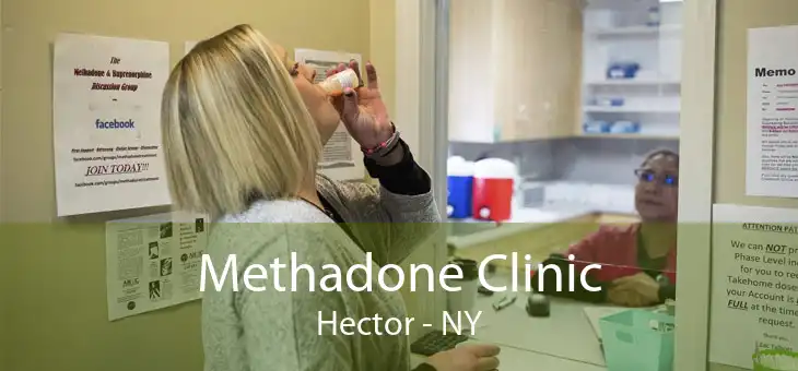 Methadone Clinic Hector - NY