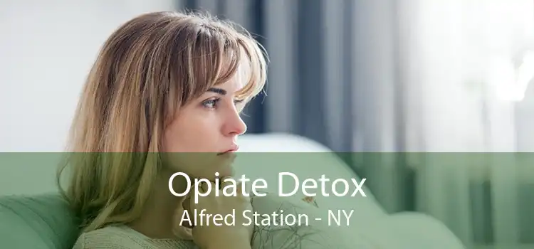 Opiate Detox Alfred Station - NY