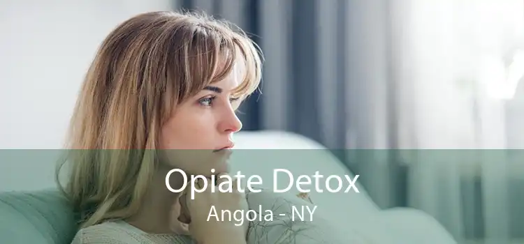 Opiate Detox Angola - NY