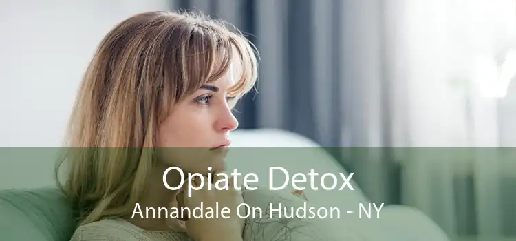 Opiate Detox Annandale On Hudson - NY