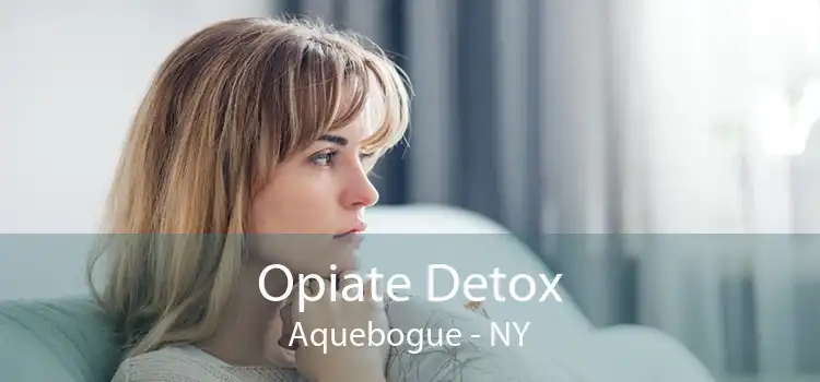 Opiate Detox Aquebogue - NY