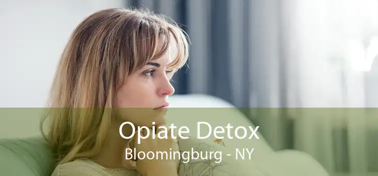 Opiate Detox Bloomingburg - NY