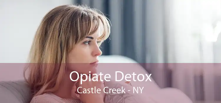 Opiate Detox Castle Creek - NY