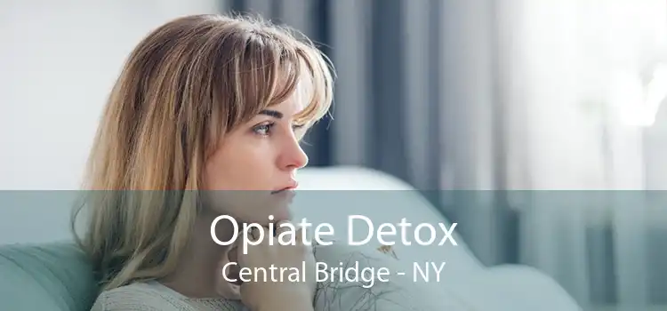 Opiate Detox Central Bridge - NY